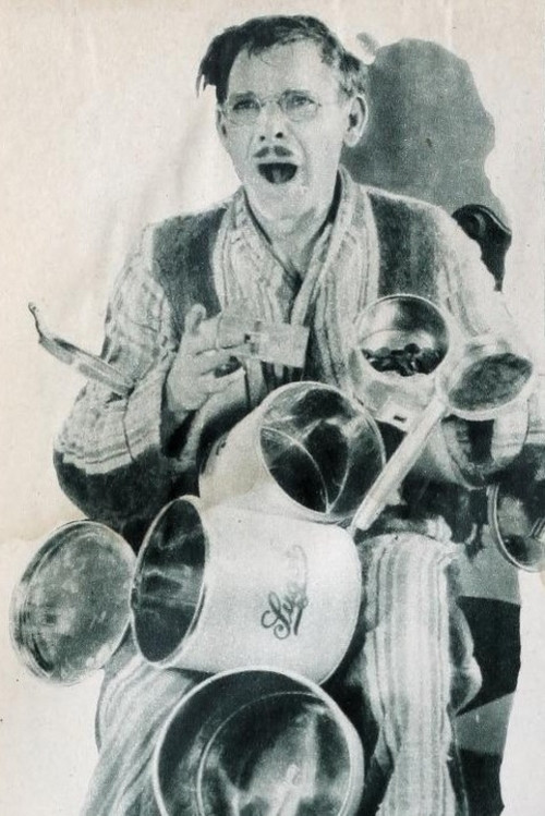 Cook, Papa, Cook (1928) poster