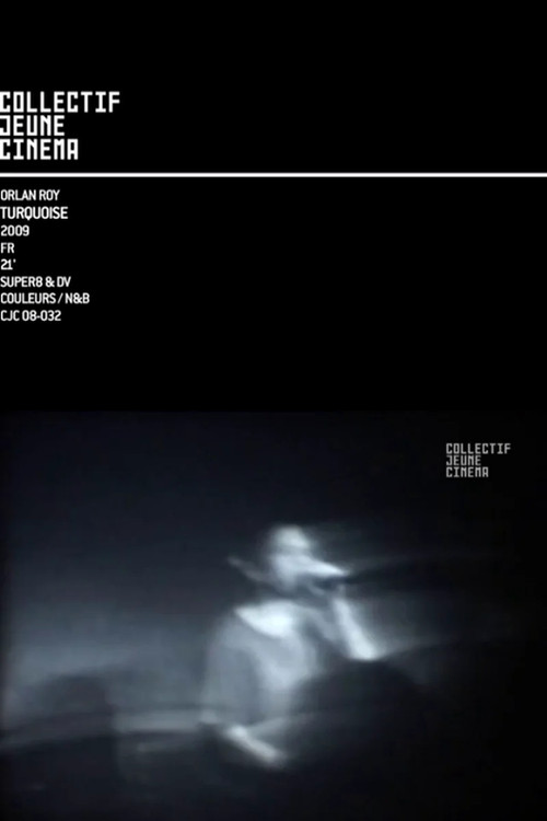 Turquoise (2009) poster