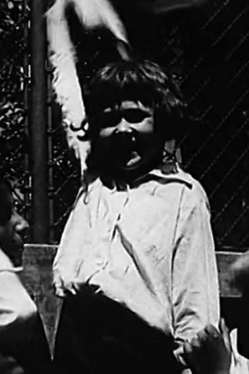 A kis lord (1918) poster