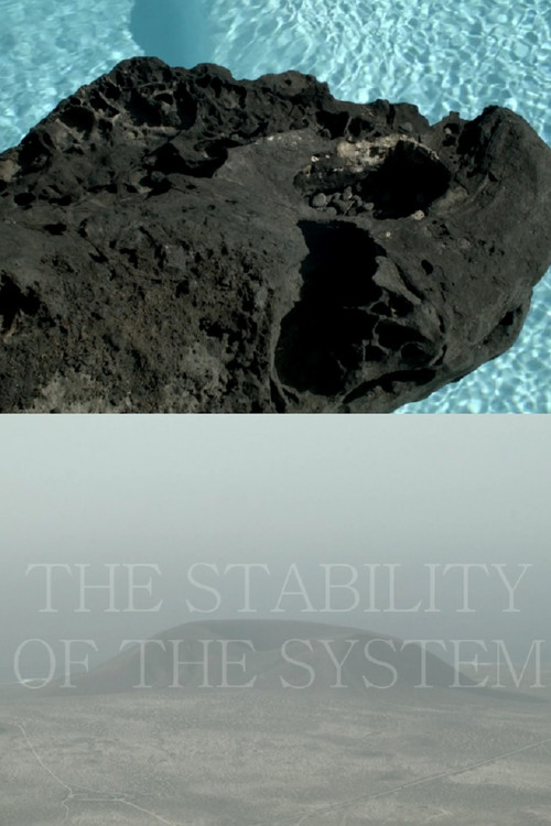 THE STABILITY OF THE SYSTEM (2016) poster