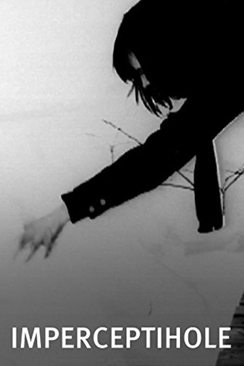 Imperceptihole (2011) poster
