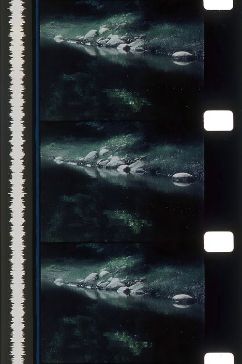 Rivers of Darkness / Rivers of Light (1972) poster