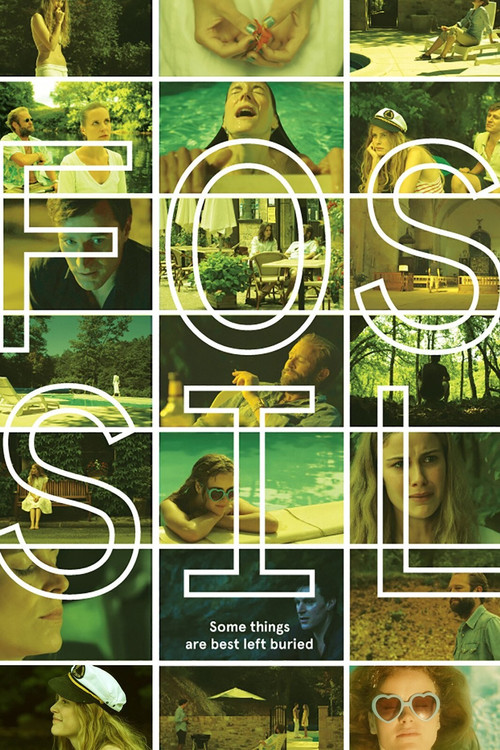 Fossil (2014) poster
