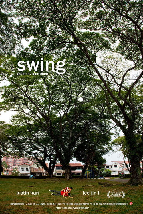 Swing (2010) poster