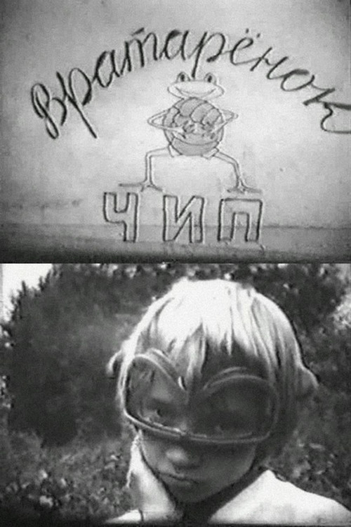 The Goalkeeper Chip (1979) poster