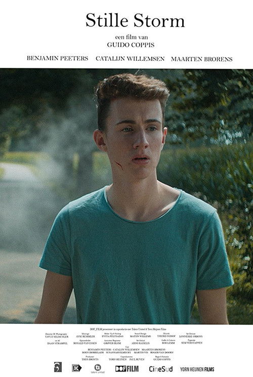 Silent Storm (2018) poster