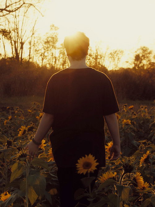 The Universe (2023) poster