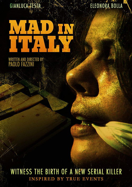 MAD In Italy (2011) poster