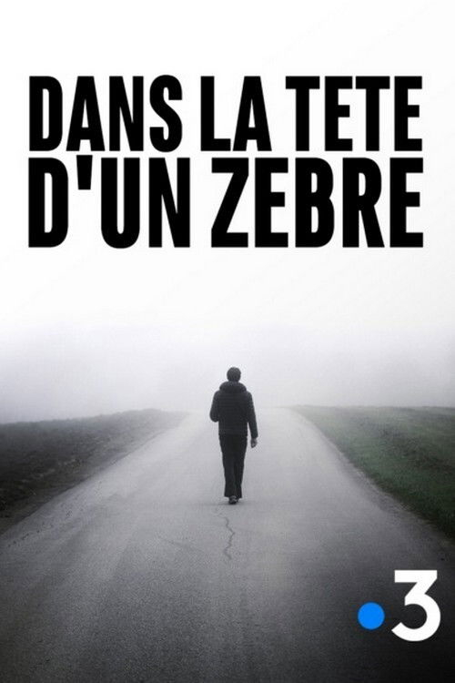Dans la tête d'un zèbre (2019) poster