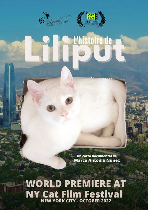 Liliput's Story (2017) poster