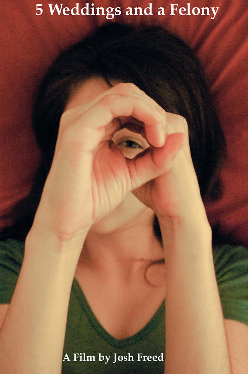 5 Weddings and a Felony (2010) poster