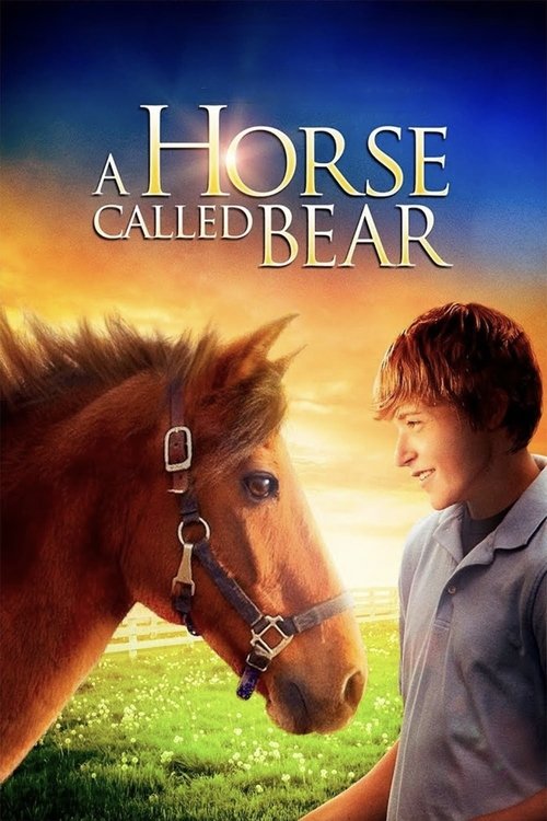 A Horse Called Bear (2015) poster