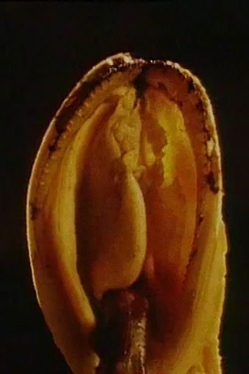 Blue Movie (1996) poster