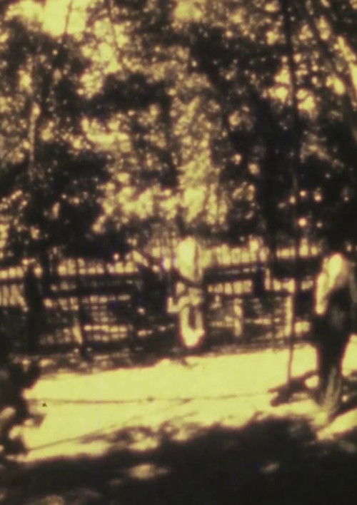 Harmful or Fatal if Swallowed (1982) poster