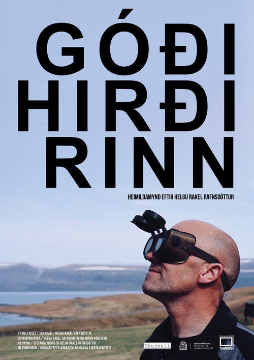 Godi Hirdirinn (2020) poster