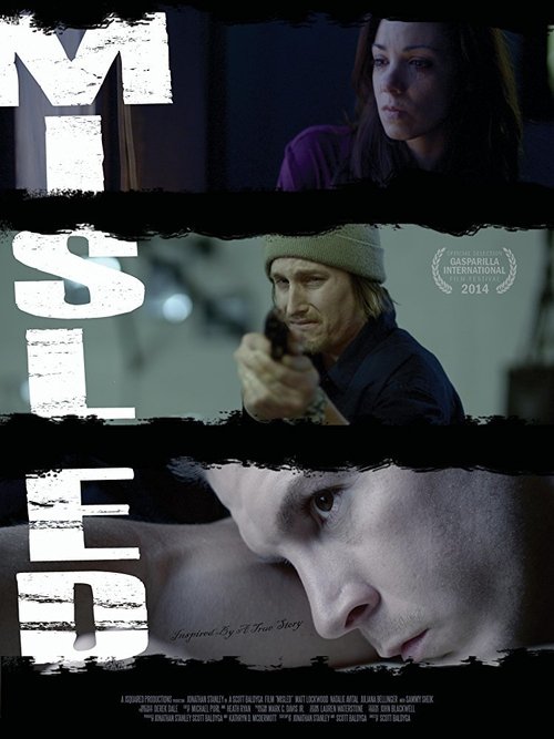 Misled (2015) poster