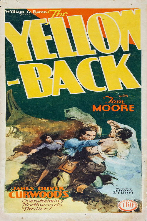 The Yellowback (1929) poster