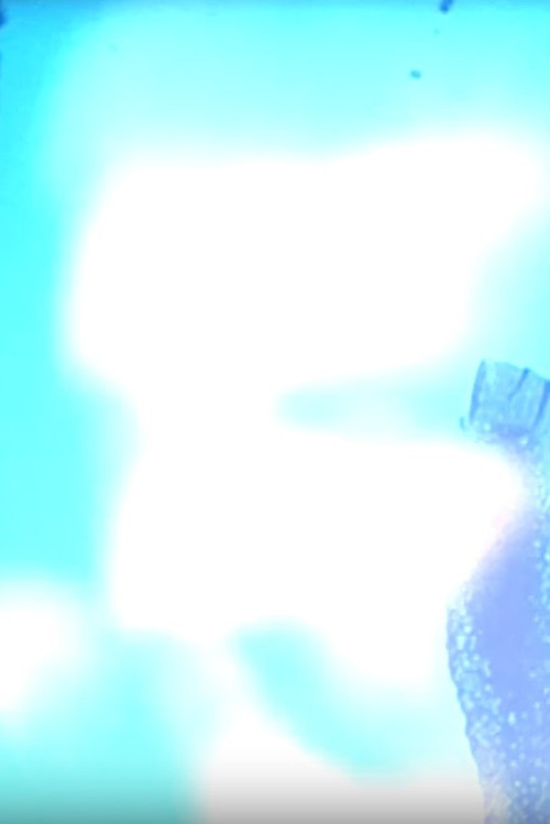 Névralgie (2008) poster