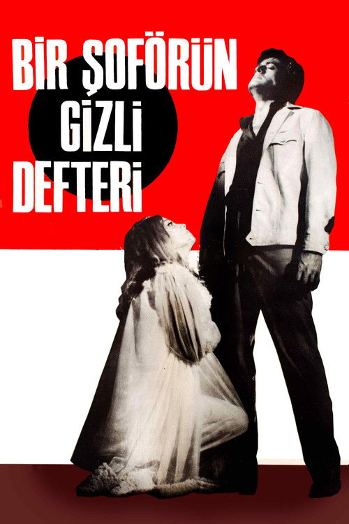 Bir Şoförün Gizli Defteri (1967) poster