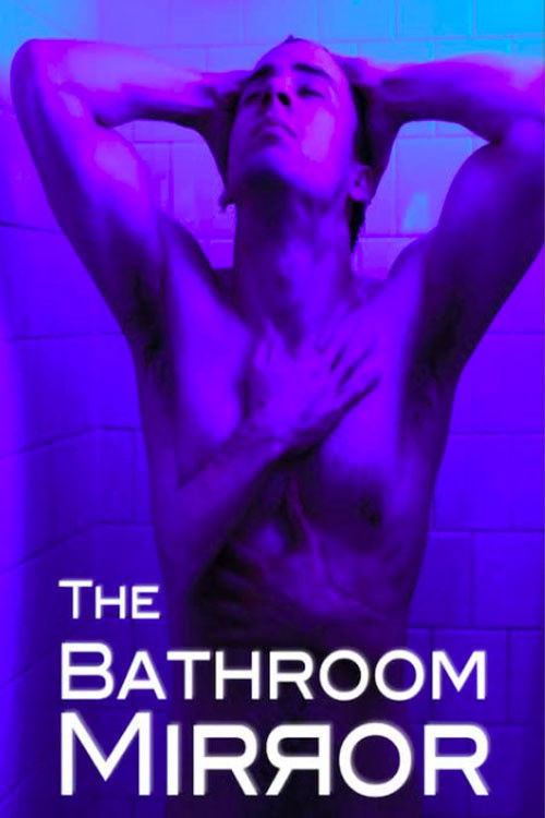 The Bathroom Mirror (2008) poster