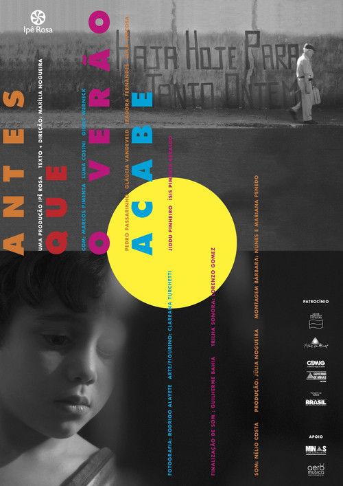 Before Summer Ends (2012) poster