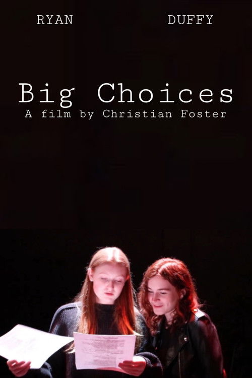 Big Choices (2024) poster