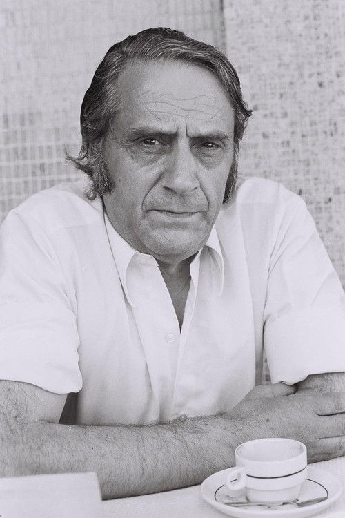 Prefácio a Vergílio Ferreira (1975) poster