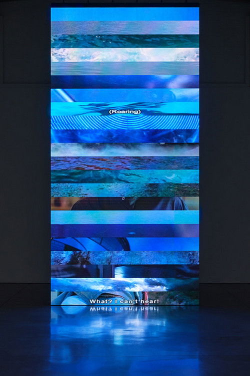 Subtitled (2019) poster