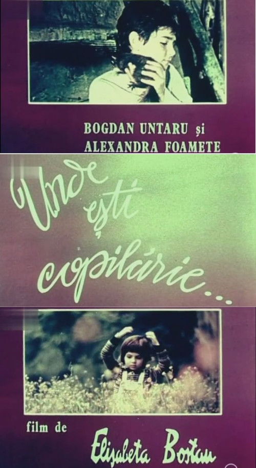 Unde ești, copilărie... (1988) poster