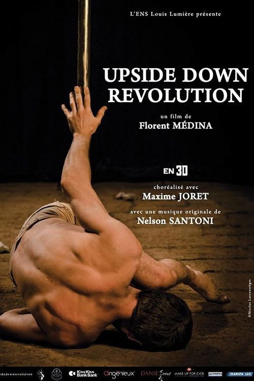 Upside Down Revolution (2017) poster