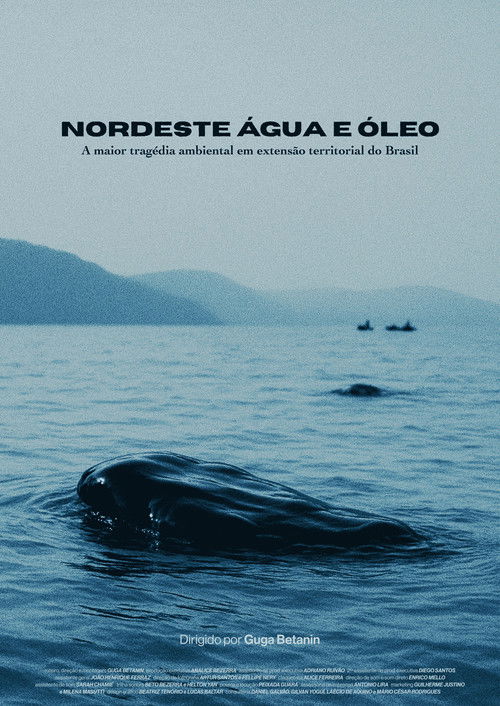 Nordeste Água e Óleo (2025) poster
