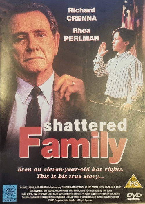 Parçalanmış Aile (1993) poster