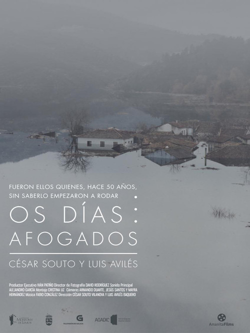 Os Días Afogados (2015) poster