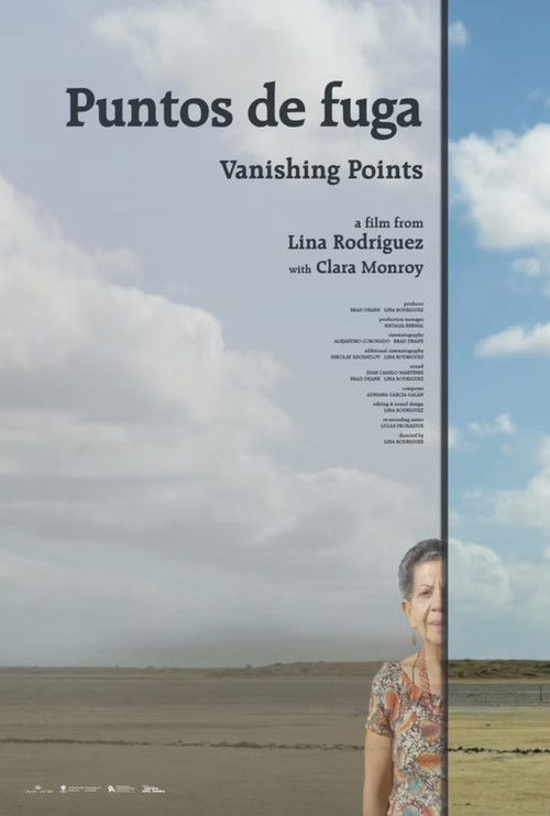 Vanishing Points (2025) poster
