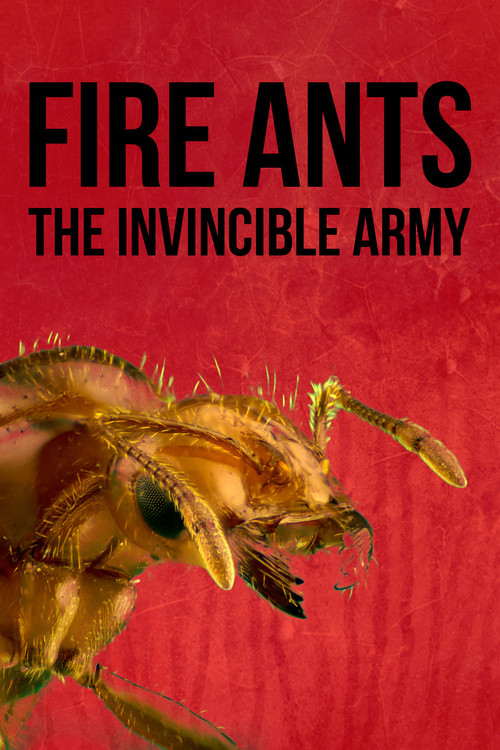 Fire Ants 3D: The Invincible Army (2012) poster