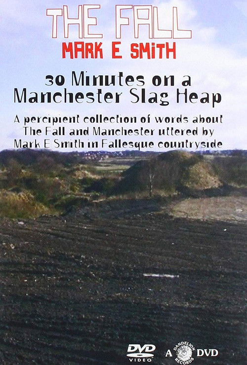 30 Minutes On A Manchester Slag Heap (2019) poster