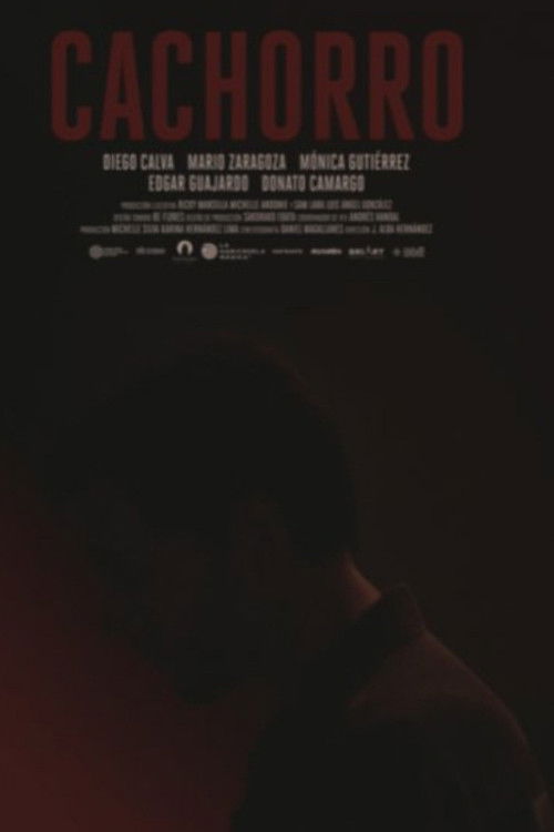 Cachorro (2020) poster
