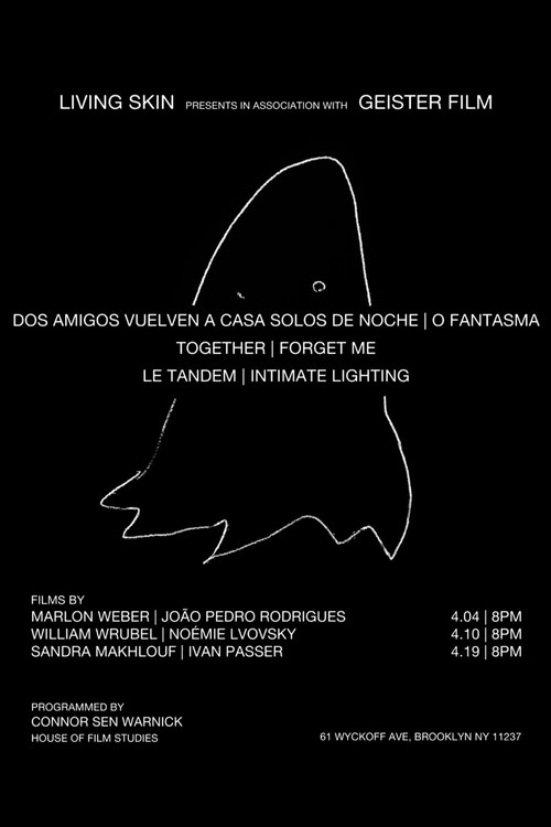 Two Friends Walk Home Alone at Night (2023) poster