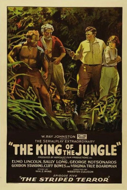 The King of the Jungle (1927) poster