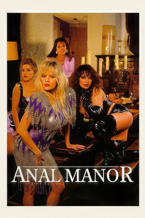 Anal Manor (1993) poster