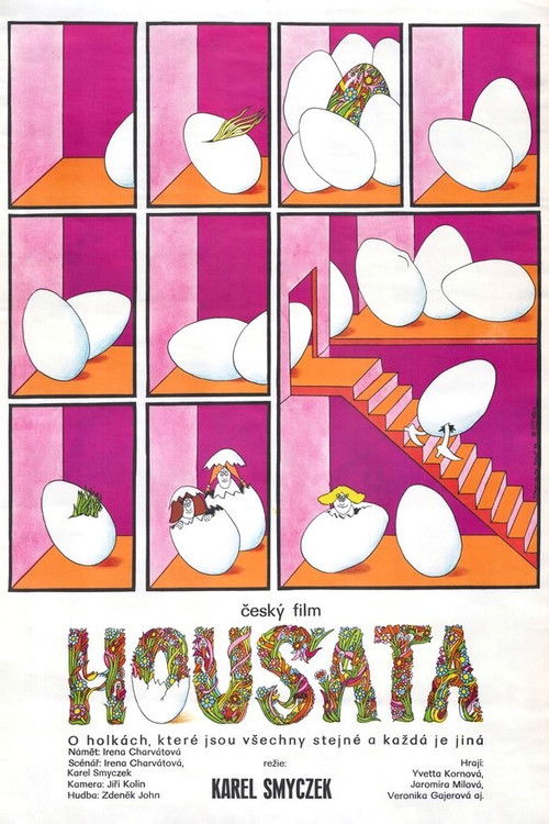 Housata (1980) poster