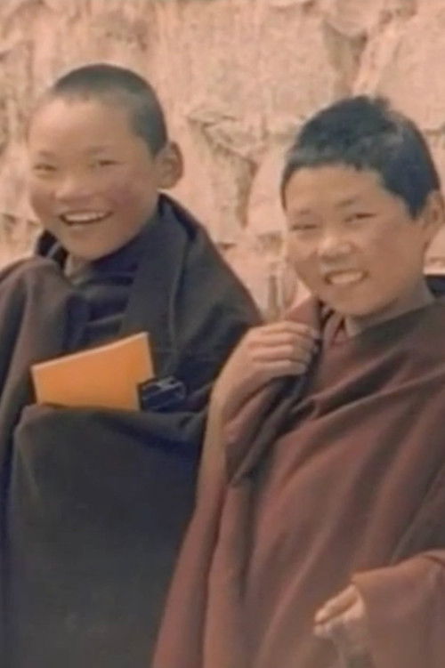 შვიდი დღე ტიბეტში (2002) poster