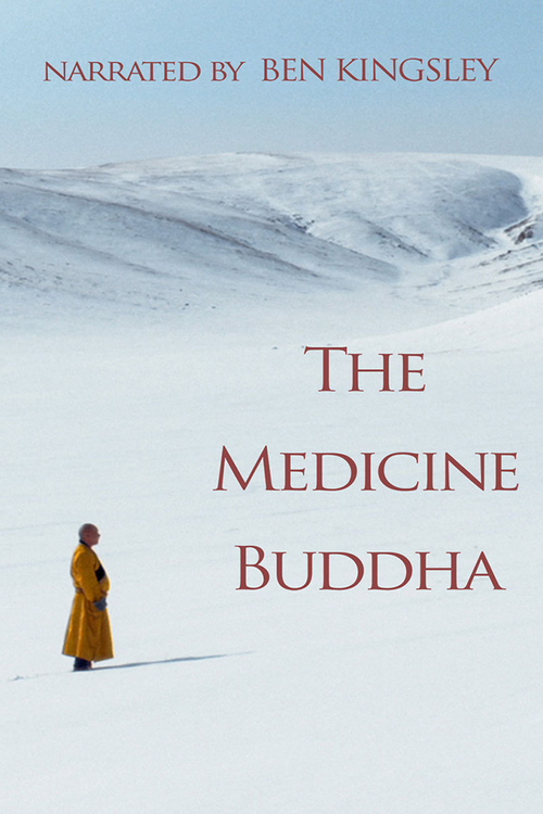 The Medicine Buddha (2019) poster