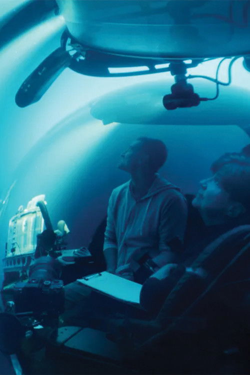 A Life Illuminated (2025) poster