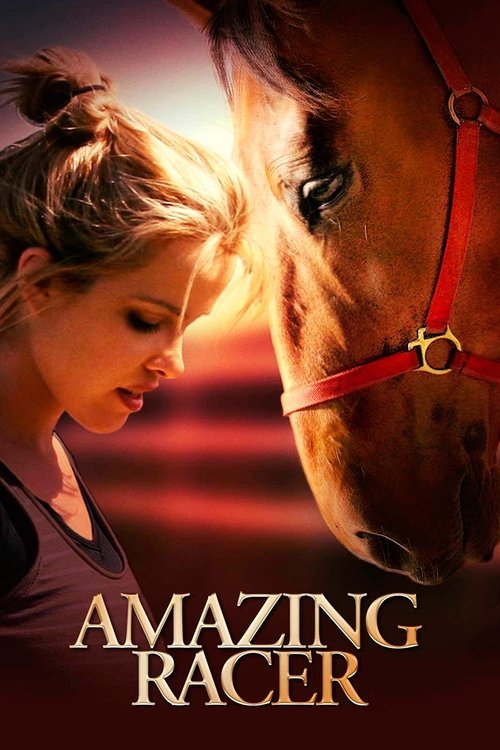 Amazing Racer (2009) poster