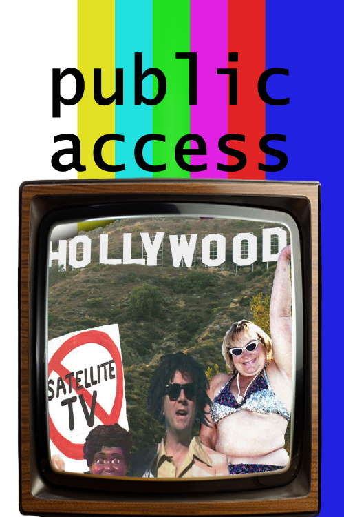 Public Access Hollywood (2004) poster