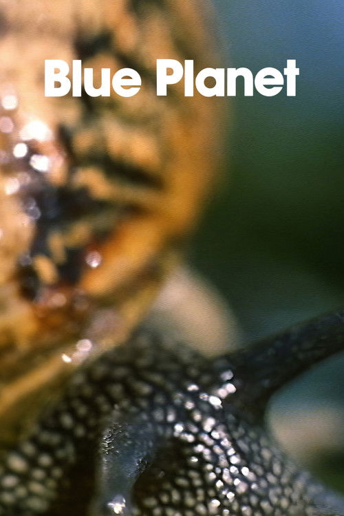 Il pianeta azzurro (1982) poster