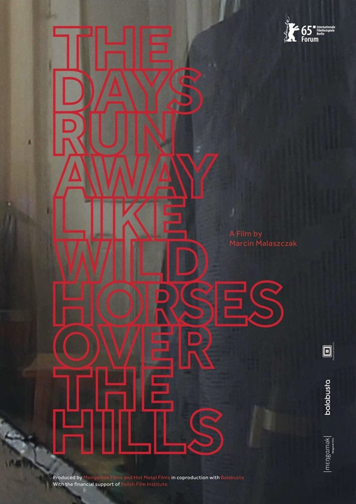 The Days Run Away Like Wild Horses Over the Hills (2015) poster