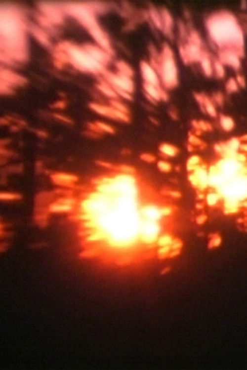 Light from the Mesa (2010) poster