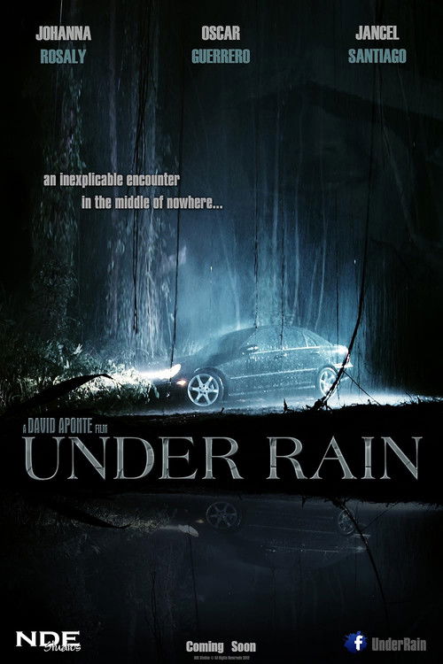 Under Rain (2012) poster